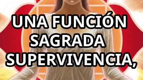 ¿Cómo hackear tu biología y manifestar tu realidad? Alinea tus chakras, activa tu poder cuántico.