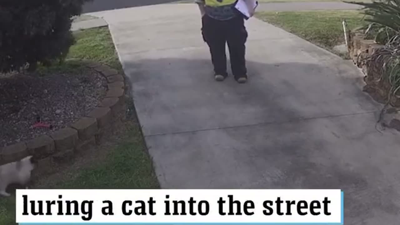 A council worker in Queensland has been caught on luring cat into street to give owners a FINE