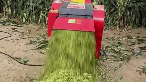 grinding machine