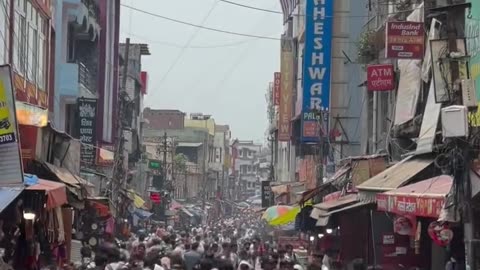 हर कदम पर हरि, हर साँस में द्वार – यही है हरिद्वार 🙏