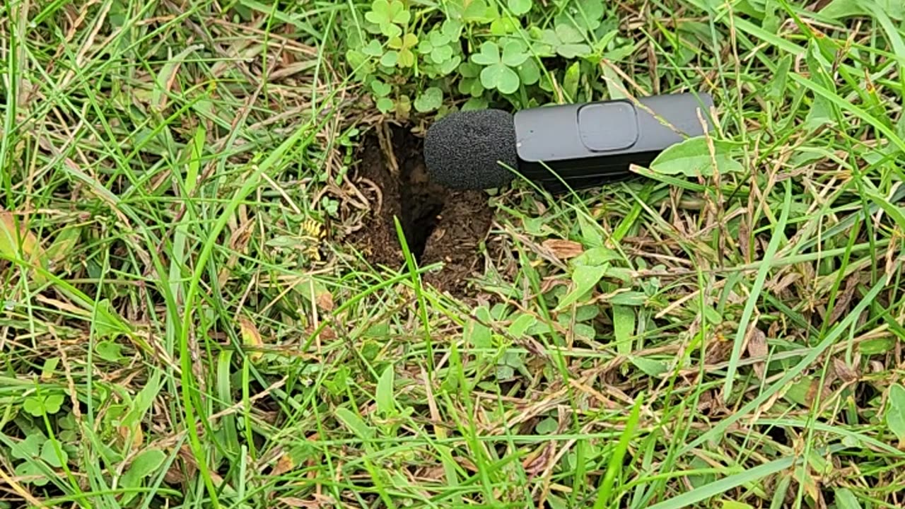 "Real Time in Flight Subterranean Hive 5"