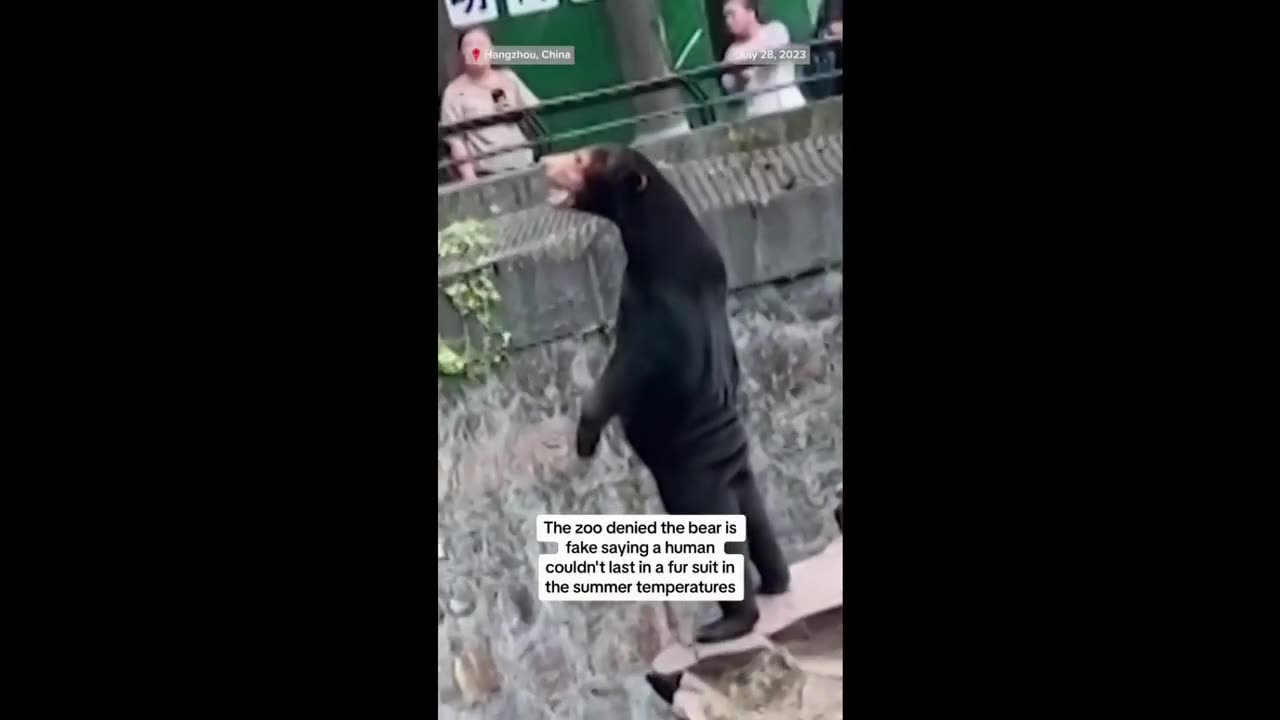 She chose the bear 😎 WeekendWarrior