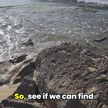 Tenacity: What Nature Can Teach Us About Business