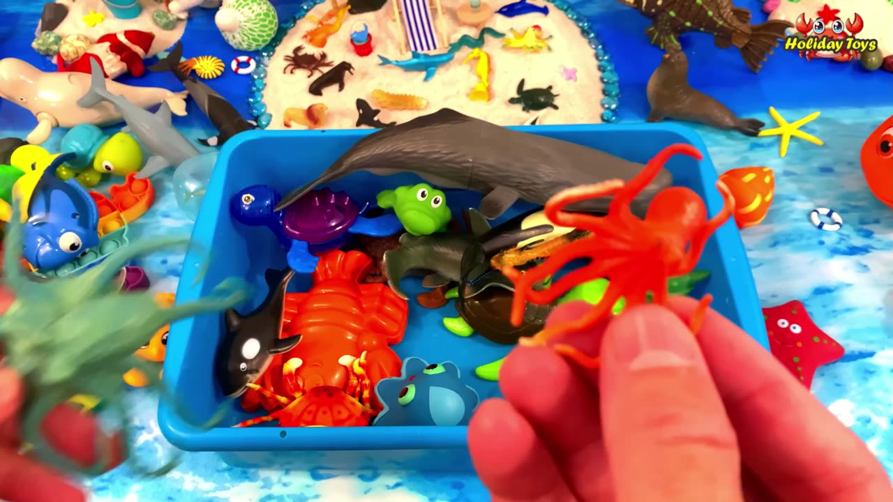 Dolphins Swimming with Turtles on Hot Day