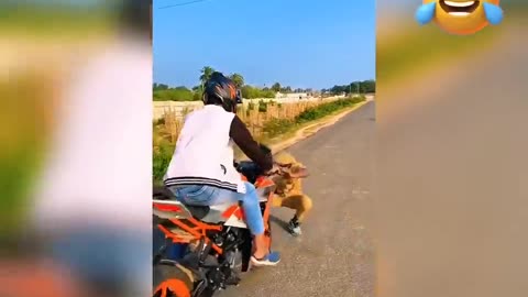 FUNNY VIDEOS REELS 🤣🤣😅 💦