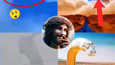 See how many things God has made 😇AMEN ❤️ #god #jesus #jesuschrist #chatolic