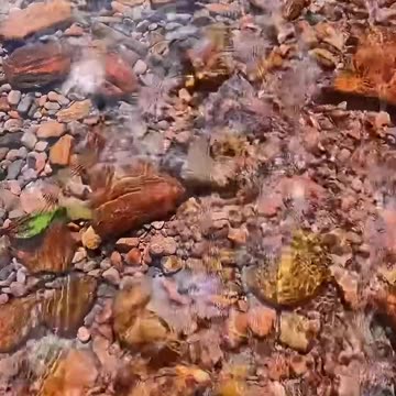 Mountain streams, gift of nature.