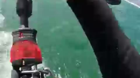 He Is Flying 🤯