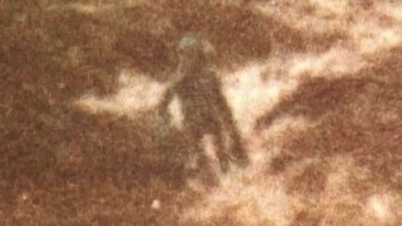 5 Strongest Signs of Aliens - Alien Life