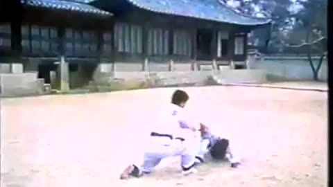 Hapkido