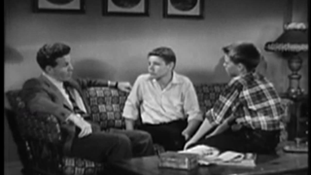 The Adventures of Ozzie and Harriet (The Fall Guy) Season 1, Episode 4