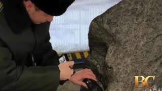 Russia says 2.8-ton chunk of Aletai meteorite disguised as garden ornament found smuggled to U.K.