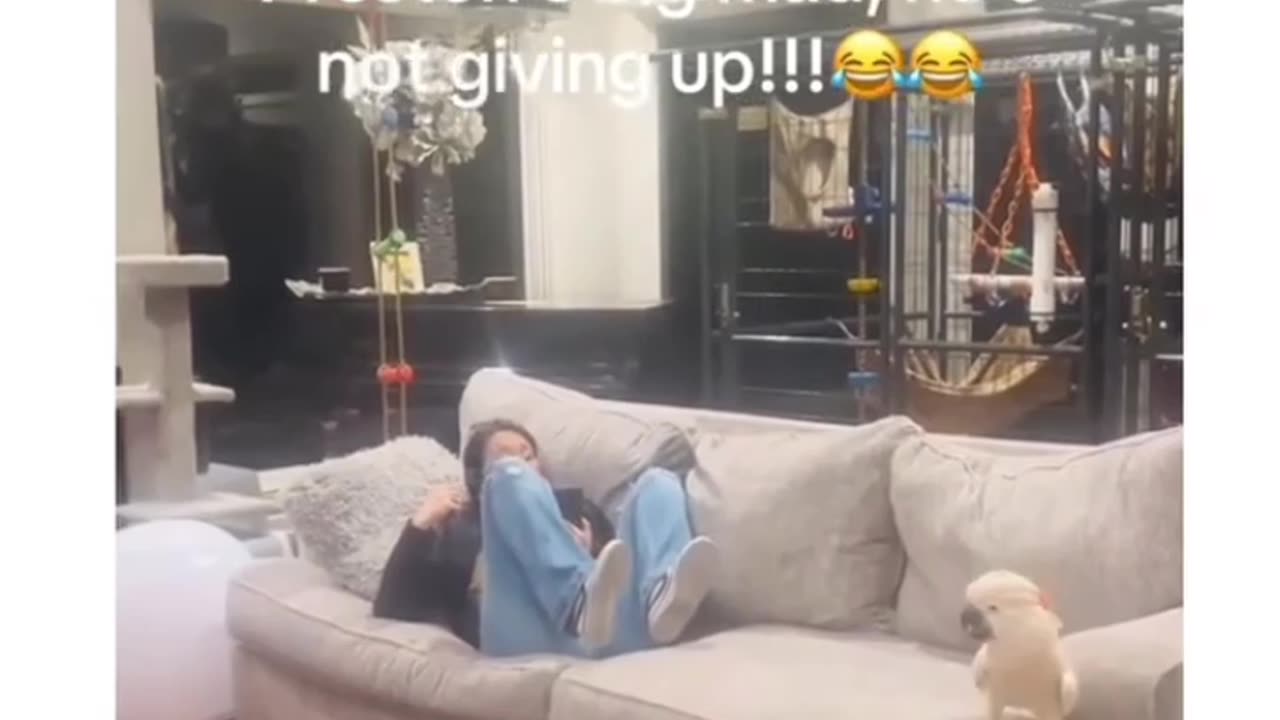 ARGUMENTATIVE WEDNESDAY 7/16/25