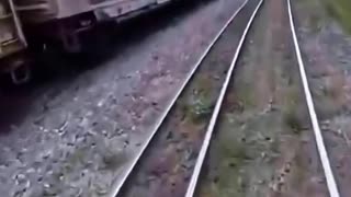 Funny video