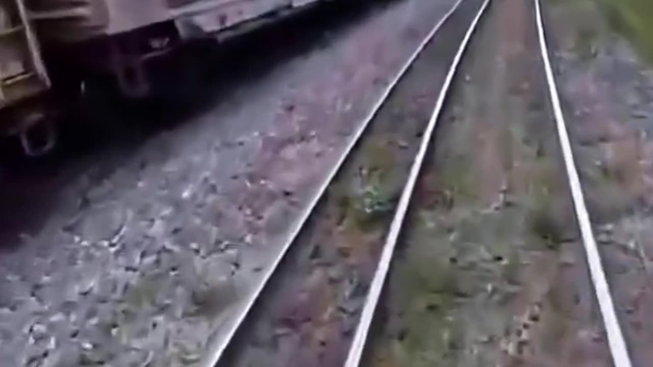 Funny video