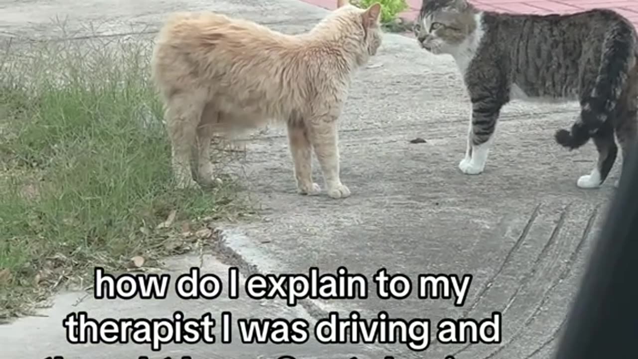 I wonder what they were talkingš¹ about?