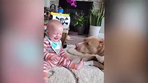 Funny babies play with animals