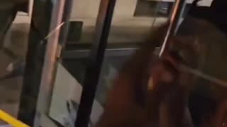 This is Milan. All Italian cities are full of these parasites.