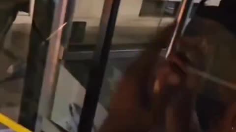 This is Milan. All Italian cities are full of these parasites.