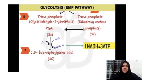 Plus Two Biology Chapter 12 Part 2