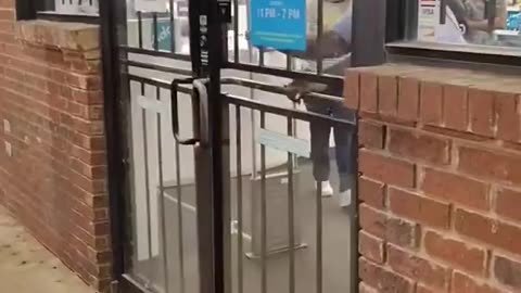 Diversity goes shopping (looting)