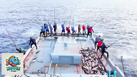 Fisherman Hunt Tuna