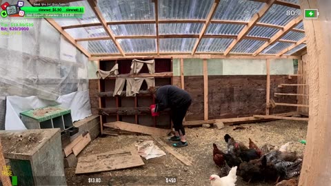 1 YEAR ANNIVERSARY | Family Builds FARMSTEAD Dream Journey to Freedom in REMOTE ALASKAN Village | !Real