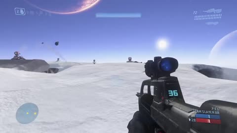 Halo Live Stream