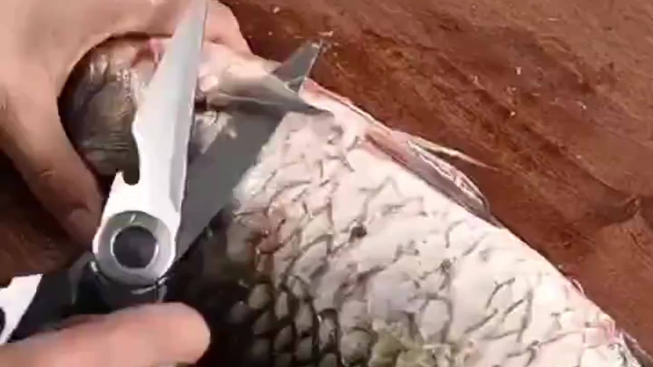 Heavy-Duty Kitchen Shears | Stainless Steel Multipurpose Cooking Scissors