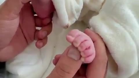 3 Body Parts Parents Should Touch More to Help Their Baby Grow Smarter 👩‍🍼💯👇