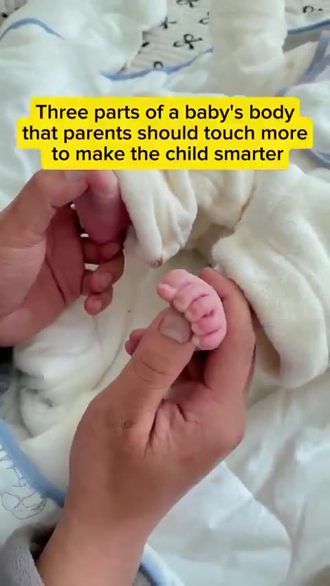3 Body Parts Parents Should Touch More to Help Their Baby Grow Smarter 👩‍🍼💯👇
