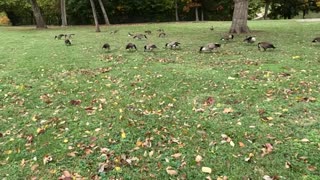 4 Non Blondes WHAT'S UP?