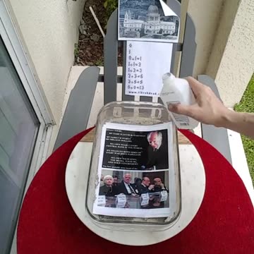 Tim Rifat TikTok Videos