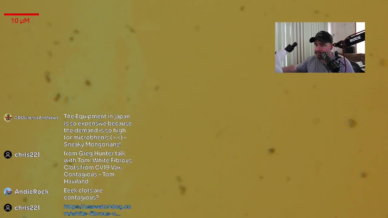 Time Series Amyloid Thioflavin Test