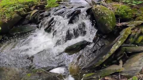 Cascade
