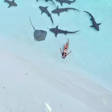 That looks scary! (via:@nauchard)