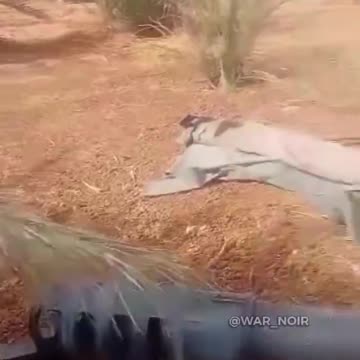 #Sudan 🇸🇩: "Sudanese Armed Forces" (#SAF) have captured artillery weapons