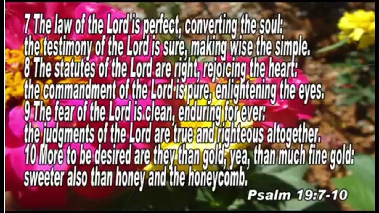 THE LAW AND THE GOSPEL