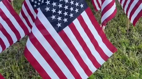 Military - 2025 Memorial Day Milwaukee 27316 Flags Field Of Flags Tradition In Honor Of Those Killed