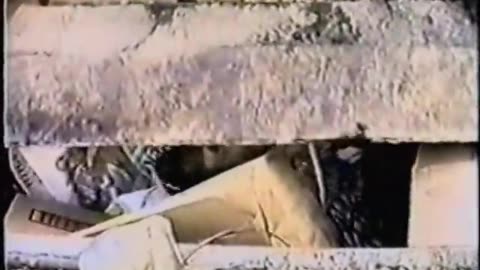 Earthlings (2005) Full Documentary