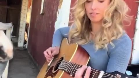 🤣🐴 This Horse Agrees to a Show With His Mistress – You Won't Believe It! | FunFM