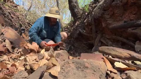 Gold prospect Metal Detector ✨️ Australia