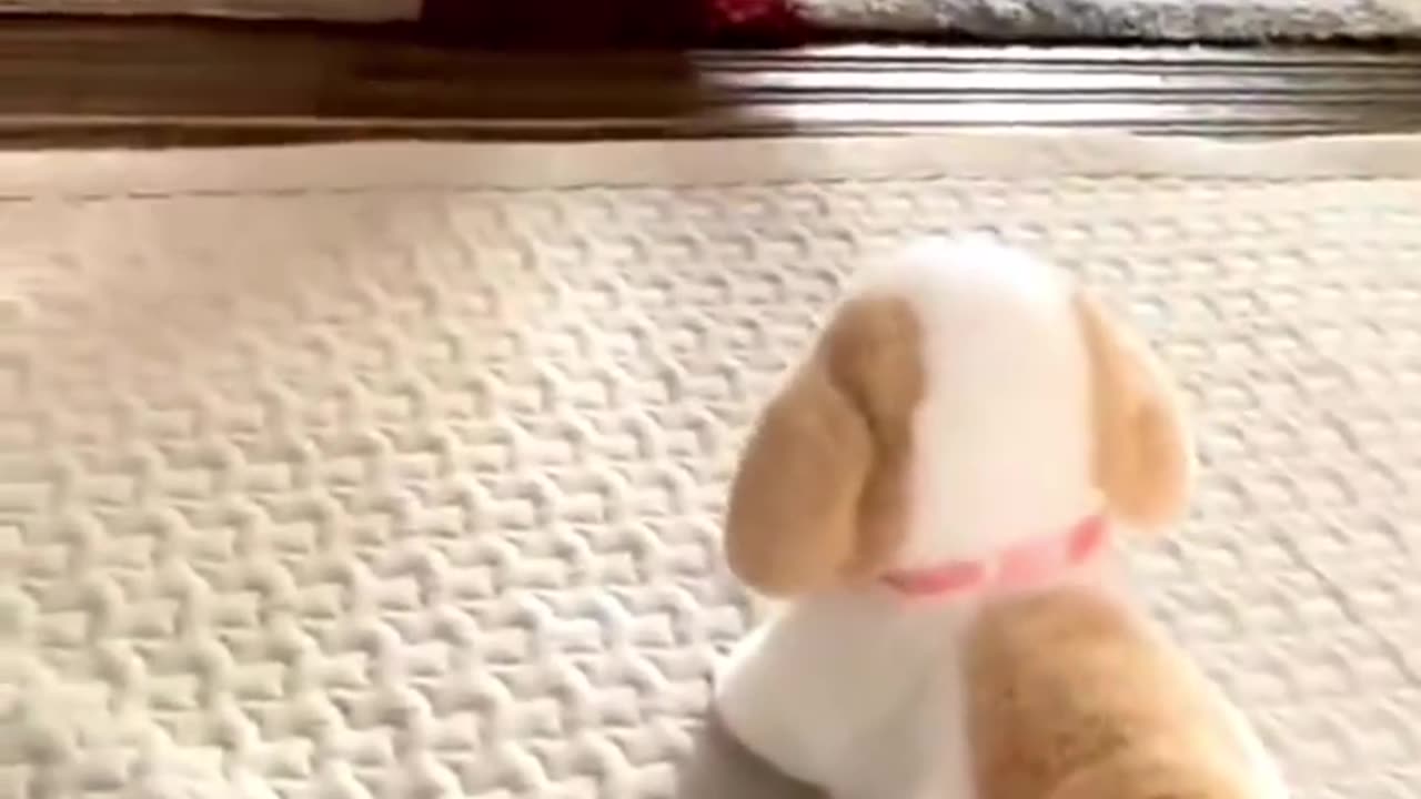 Baby is playing with his new toy
