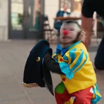 Clown Monkey Steals the Policeman’s Hat