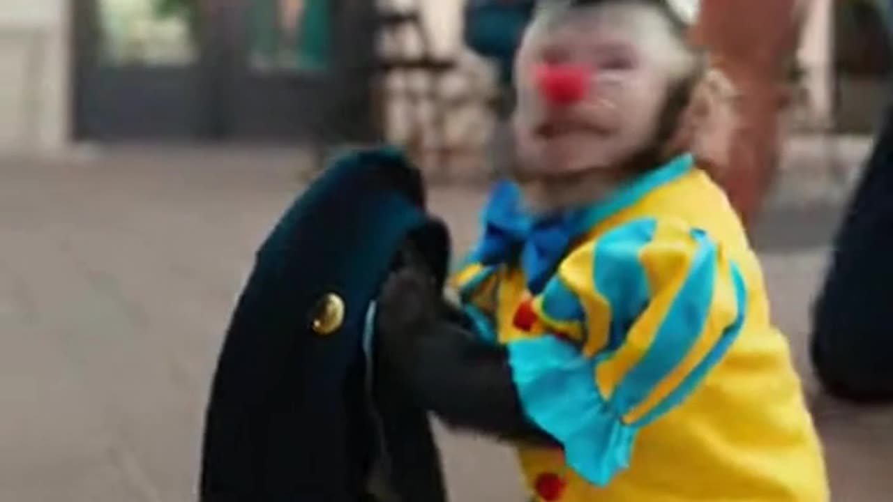 Clown Monkey Steals the Policeman’s Hat