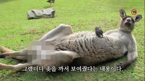 * 영화 "IMF 국가부도의날" 감상문.