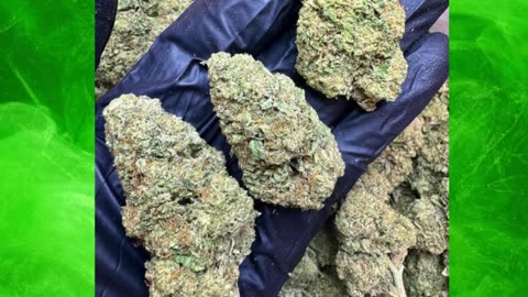 Durban Poison | High-End Light Assist Sativa | 24% THCa | Uplifting, Focused | Terpinolene + Ocimene