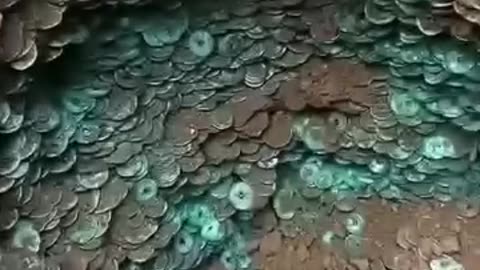 Ancient _Coins_From_Different_Parts_of_The_World_Maybe_Merchant_Trader_of_That_Era