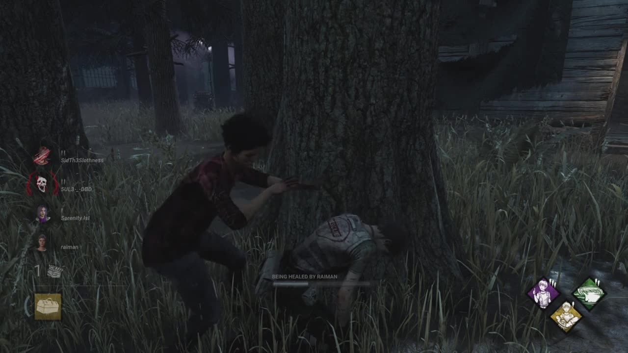 Project W - Dead By Daylight