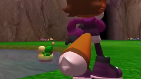 Chao Rides a Ducky
